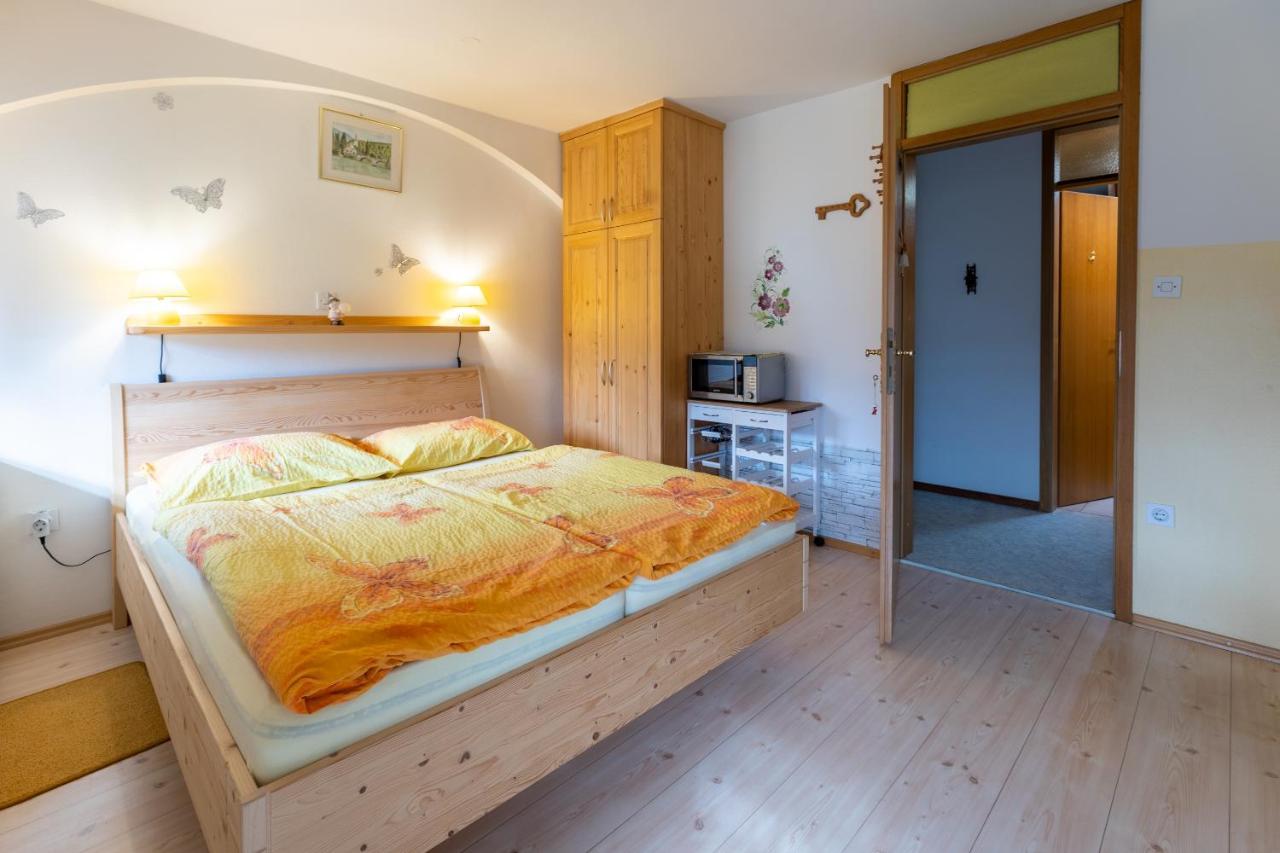 Apartmaji Verica Ceklin ボーヒニ エクステリア 写真