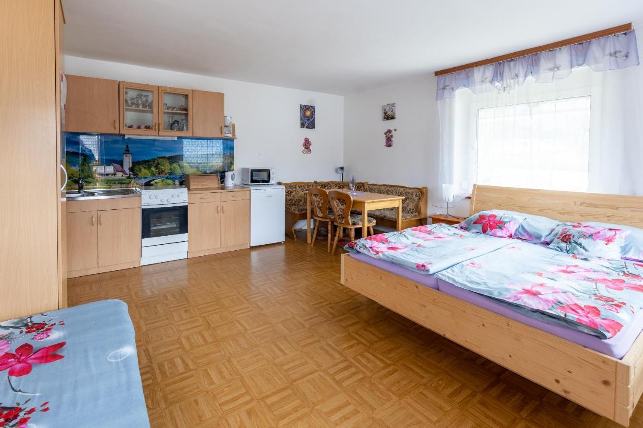 Apartmaji Verica Ceklin ボーヒニ エクステリア 写真
